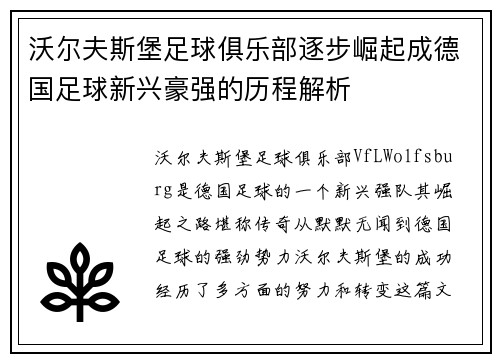 沃尔夫斯堡足球俱乐部逐步崛起成德国足球新兴豪强的历程解析